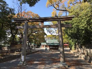 川原神社の参拝記録(じゃすてぃさん)