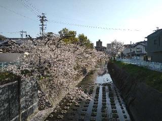 神明社（五軒屋神明社）の参拝記録(yukiさん)