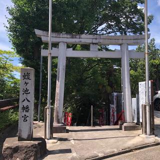 蝮ヶ池八幡宮の参拝記録(ワヲンさん)