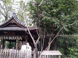 白山神社の参拝記録(yukiさん)