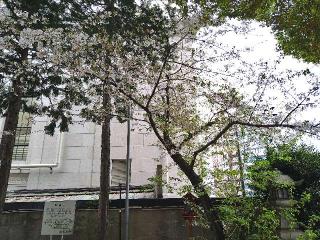 春日神社の参拝記録(yukiさん)