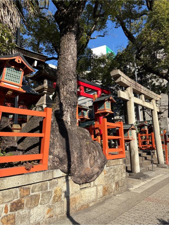 春日神社の参拝記録10