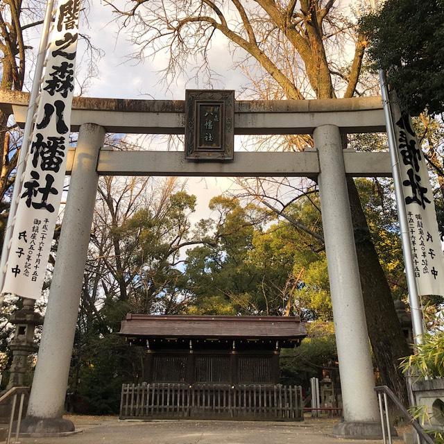八幡社（闇之森八幡社）の参拝記録5
