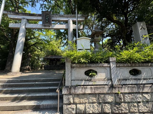 八幡社（闇之森八幡社）の参拝記録7