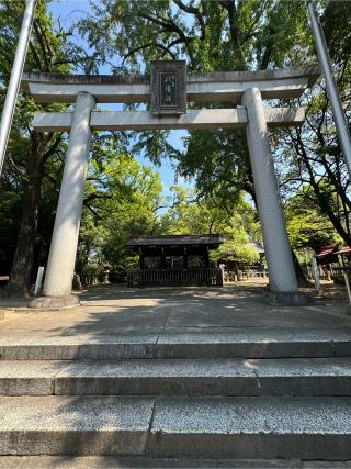 八幡社（闇之森八幡社）の参拝記録(こーちんさん)