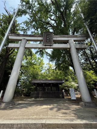 八幡社（闇之森八幡社）の参拝記録(シンヤさん)
