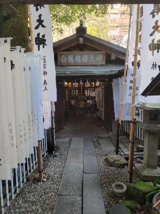 洲崎神社の参拝記録(にゃんこさん)