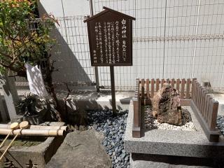 白山神社の参拝記録(恭子さん)
