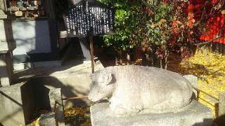 天神社（中村天神社）の参拝記録(miyumikoさん)