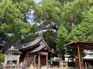 八幡社（松原八幡社）の参拝記録(恭子さん)