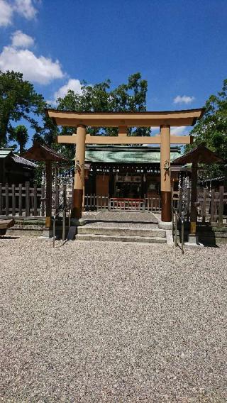 豊国神社の参拝記録(ココアラムさん)