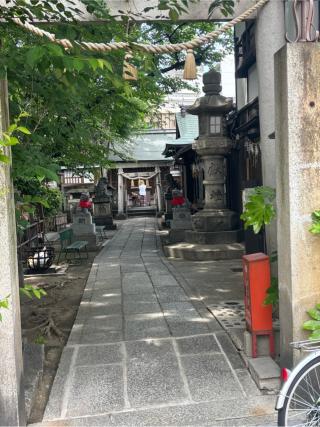 浅間神社の参拝記録(古チャンさん)