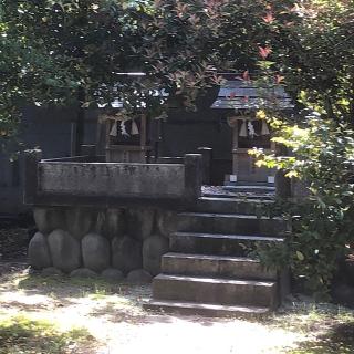 津島社の参拝記録(ワヲンさん)