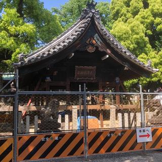 大乃伎神社の参拝記録(ワヲンさん)