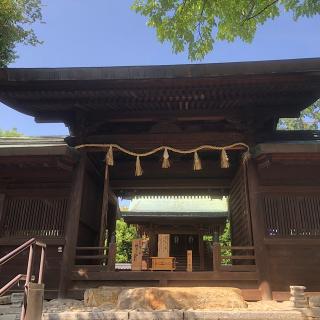 大乃伎神社の参拝記録(ワヲンさん)