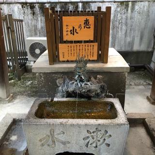 松山神社の参拝記録(ワヲンさん)