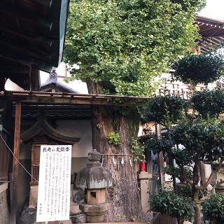 松山神社の参拝記録(ワヲンさん)