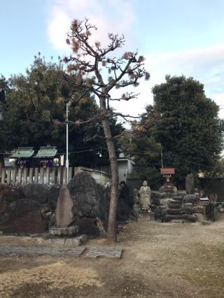 八幡社（大幸八幡社）の参拝記録(ちけっとさん)