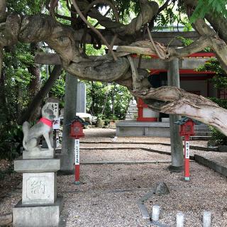 豊藤稲荷神社の参拝記録(ワヲンさん)