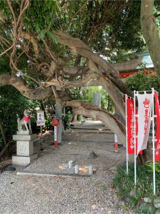 豊藤稲荷神社の参拝記録(もそもそ🤗さん)