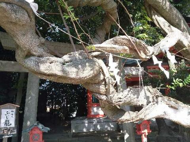 豊藤稲荷神社の参拝記録6