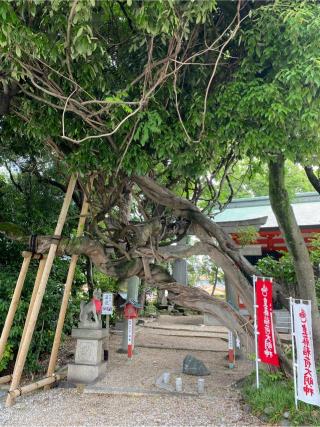 豊藤稲荷神社の参拝記録(yj さん)