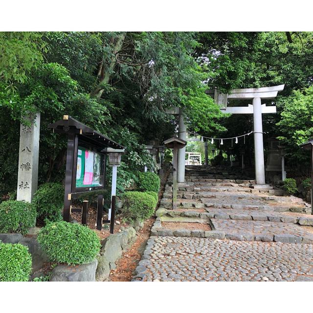 八幡社（古鳴海八幡社）の参拝記録4