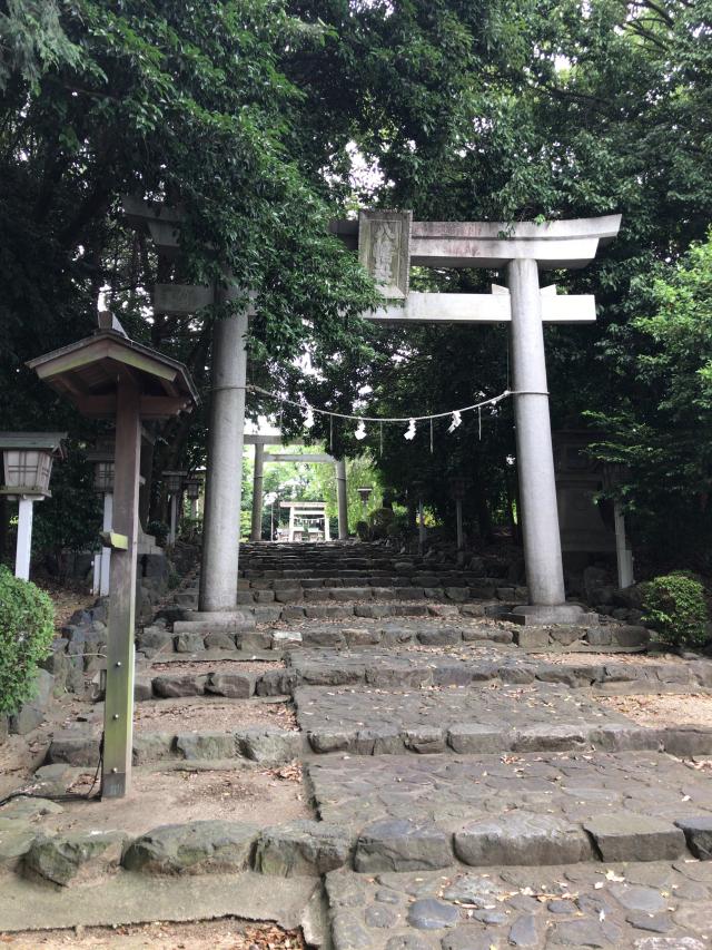 愛知県名古屋市緑区鳴海町字上ノ山5 八幡社（古鳴海八幡社）の写真2