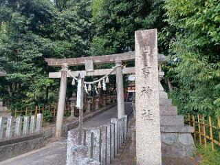 日吉神社の参拝記録(銀玉鉄砲さん)