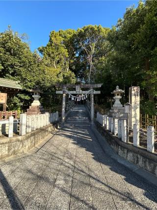 日吉神社の参拝記録(シンヤさん)