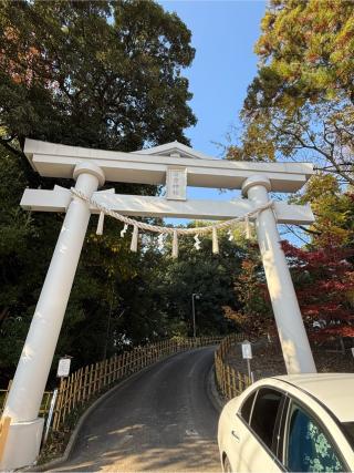 日吉神社の参拝記録(シンヤさん)