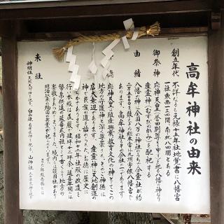 高牟神社の参拝記録(ワヲンさん)