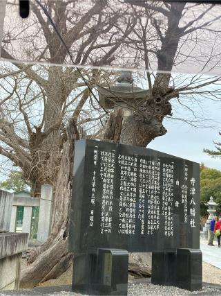寺津八幡社の参拝記録(恭子さん)