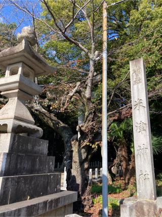 米津神社の参拝記録(恭子さん)