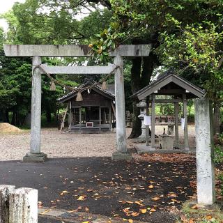 野方神明社の参拝記録(ワヲンさん)