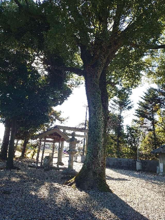 野方神明社の参拝記録1