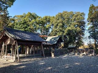 野方神明社の参拝記録(たんこさん)