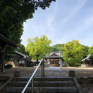 梅森八幡社の参拝記録(ワヲンさん)