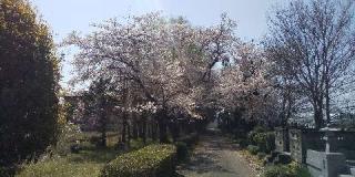 如意山惣持院教王寺の参拝記録(あすべすさん)