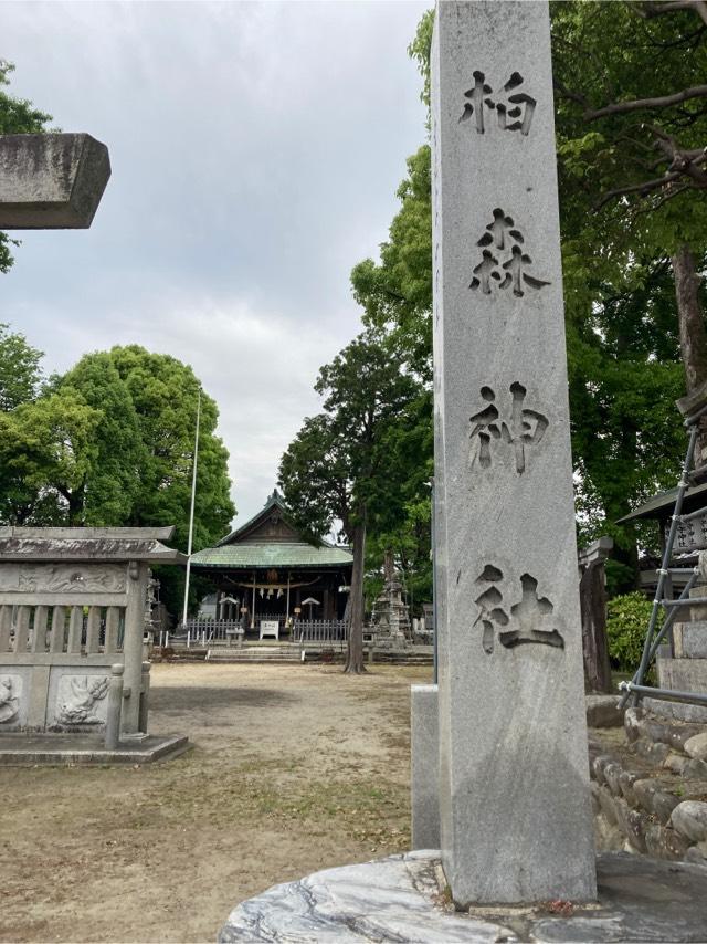 柏森神社の参拝記録3