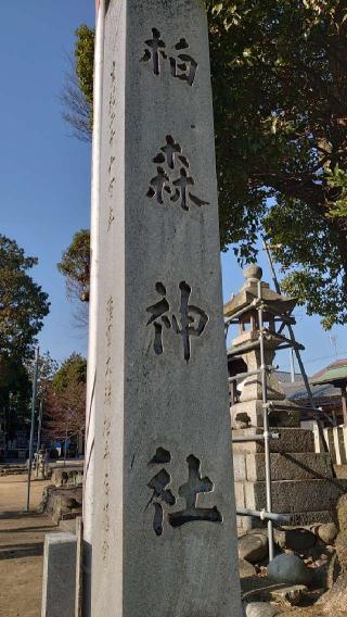 柏森神社の参拝記録(鷹さん)