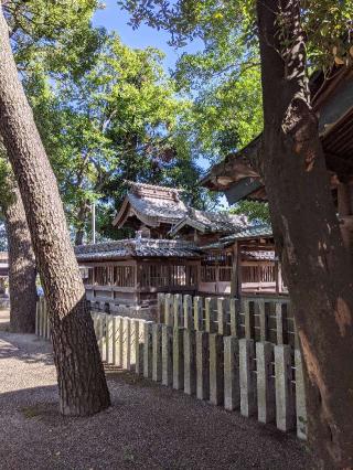 鹿嶋神社の参拝記録(たっけん65さん)