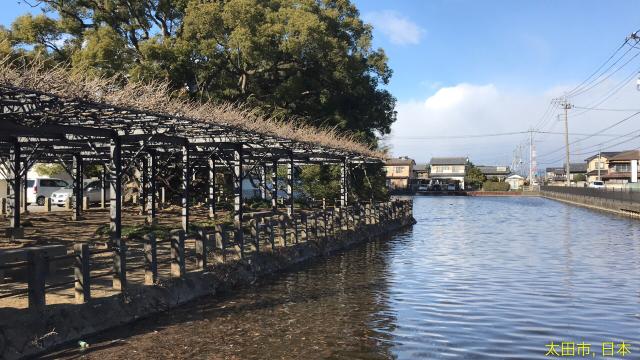 照明寺の参拝記録5