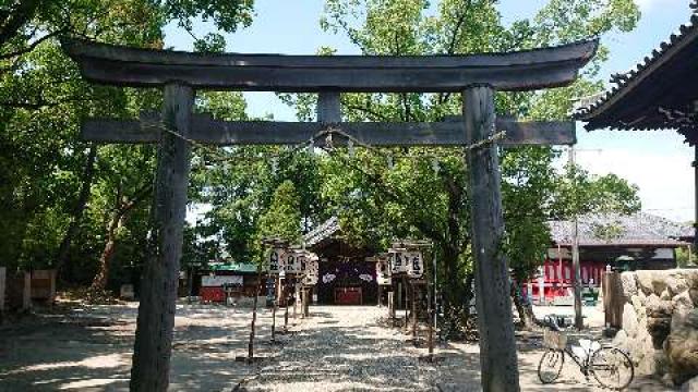 愛知県海部郡蟹江町大字須成字内屋敷上1363 富吉建速神社八劔社の写真2