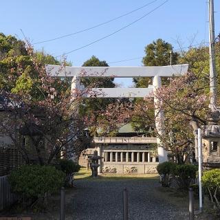 藤島神社の参拝記録(ワヲンさん)