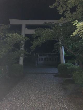 藤島神社の参拝記録(つくねさん)