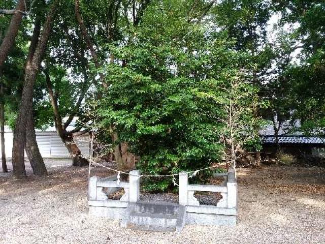 愛知県安城市今本町1-3-5 白山比賣神社(白山比売神社)の写真4