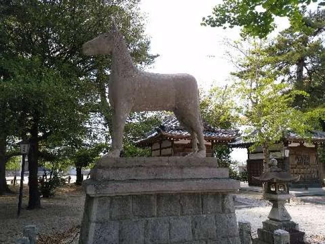愛知県安城市高棚町中敷164 神明神社（高棚神明神社）の写真10