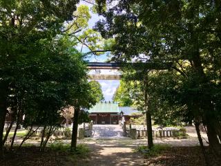 明治川神社の参拝記録(じゃすてぃさん)