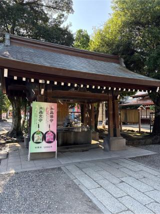 真清田神社（尾張国一宮）の参拝記録(⛩️🎠🐢まめ🐢🎠⛩️さん)